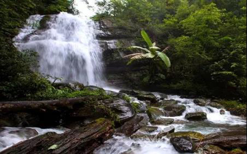 中标喜讯 | 70net永乐高成功中标田林县水治理建设PPP项目前期工作咨询服务